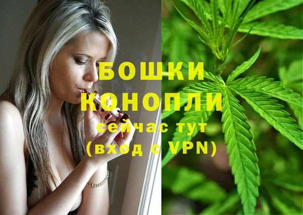 трава Абаза