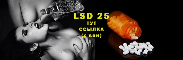 трава Абаза