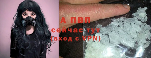 трава Абаза