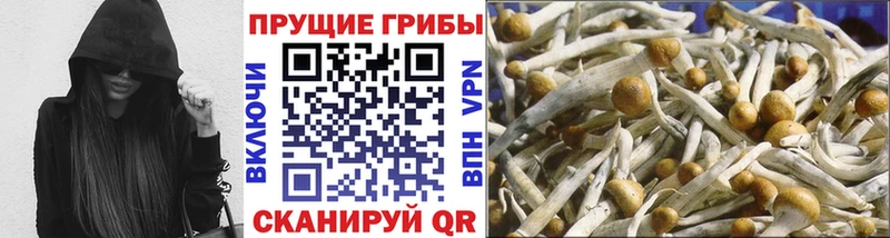Галлюциногенные грибы ЛСД  как найти наркотики  MEGA зеркало  Агидель 